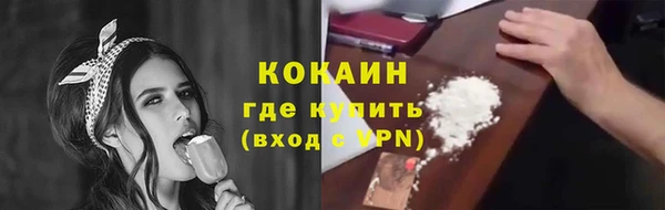 соль ск Вяземский