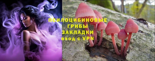 соль ск Вяземский