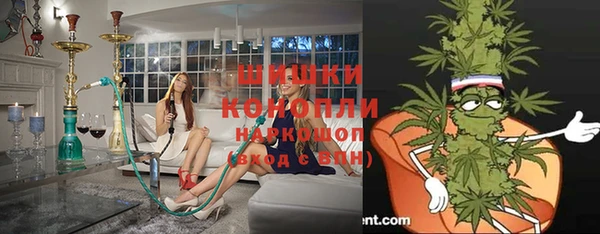 соль ск Вяземский